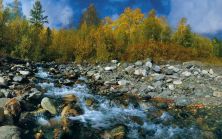 siberia dmfull12.jpg